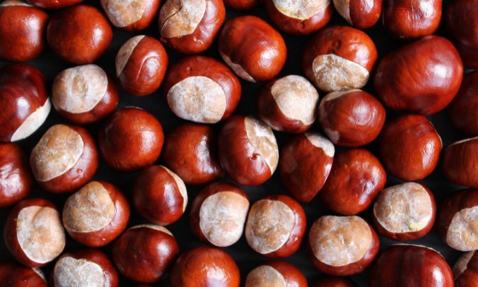 Why Chestnut Orchards Are in Immense Demand