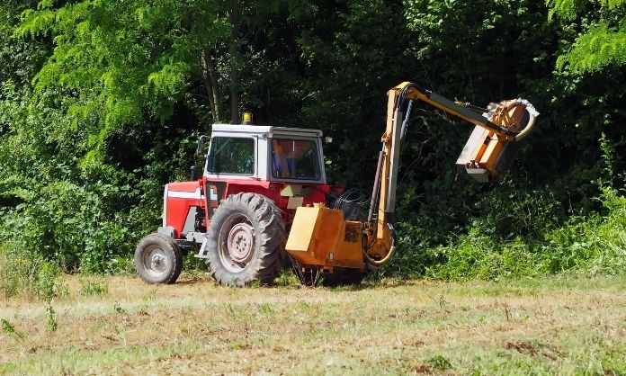 A Beginner’s Guide To the Land Clearing Process